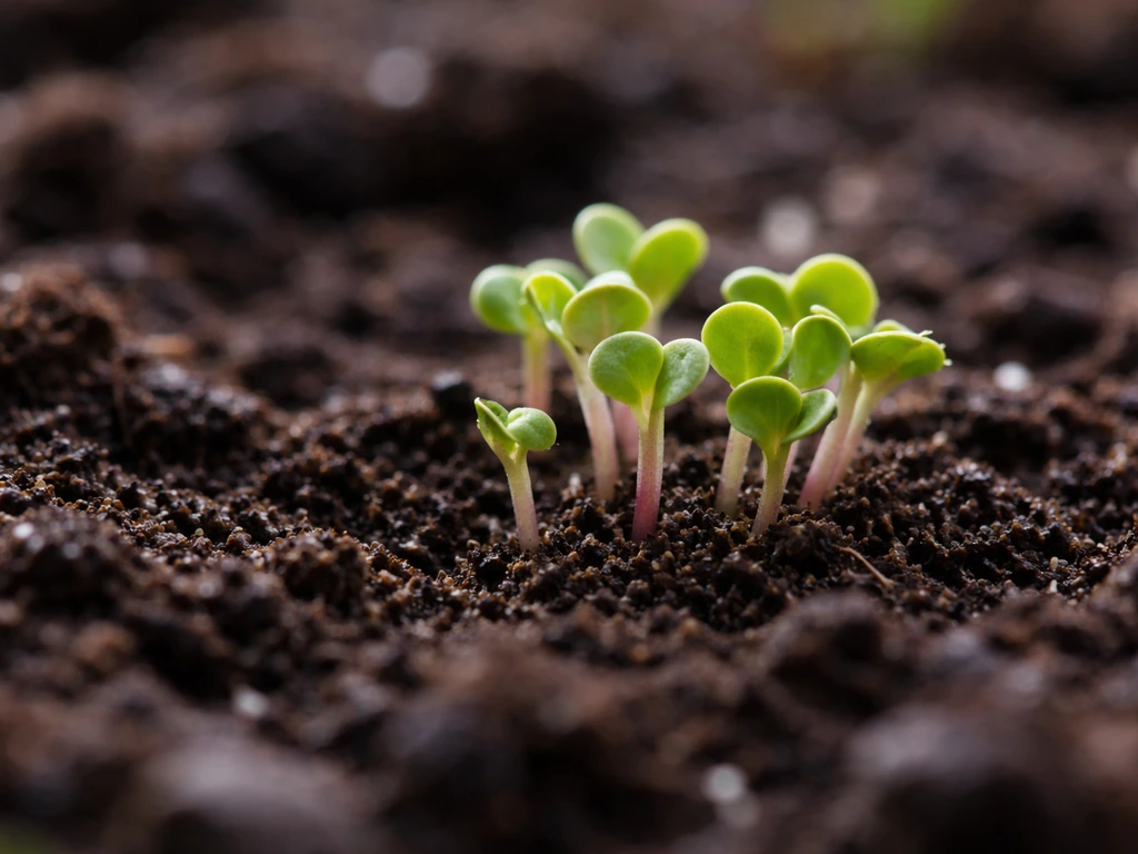 What Seed Will Grow in a Week: Fast Options